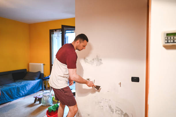 Best Crawl Space Mold Removal  in Rock Hall, MD
